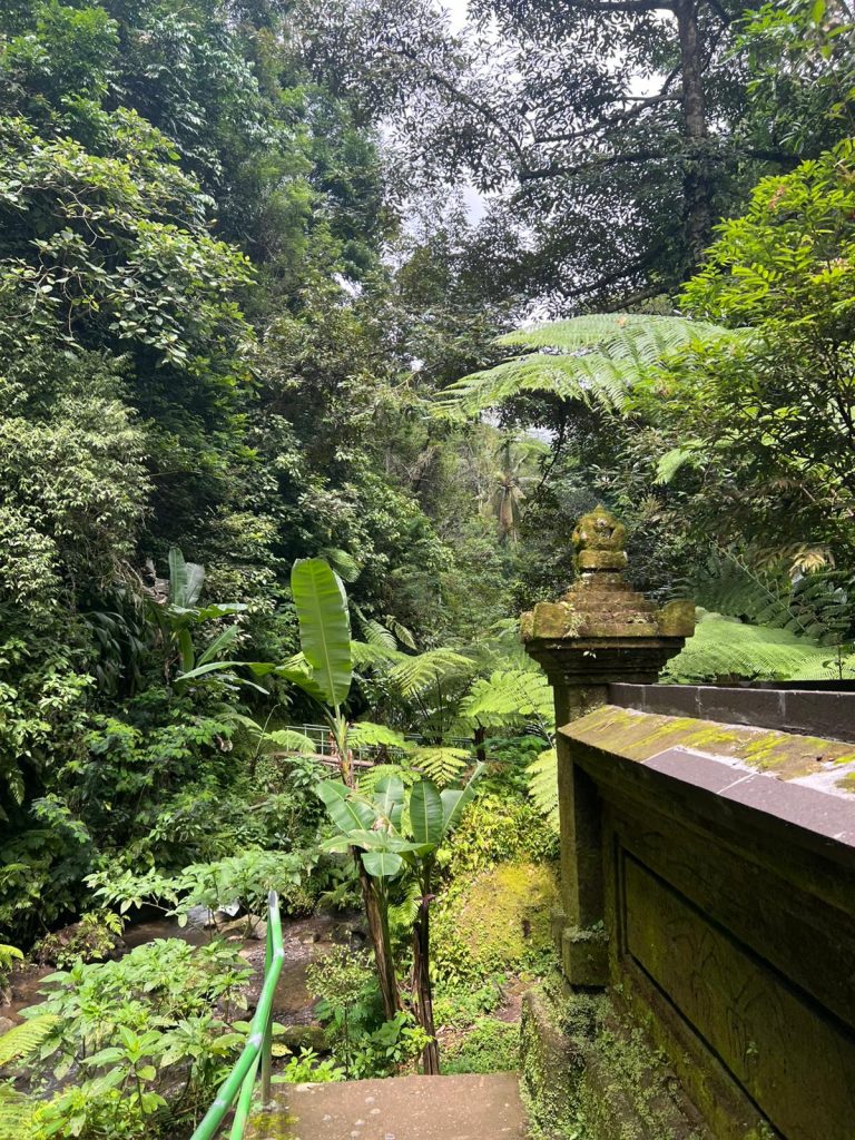 whatsapp image 2026 01 27 at 20.59.17 2.jpeg