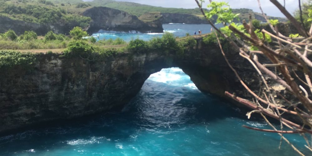 172c308c 3ae2 4526 91ba 9789fe20d23e