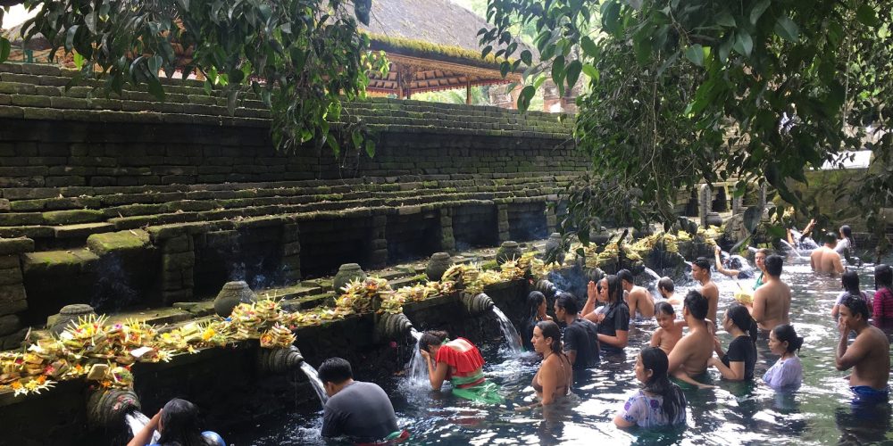 36087bc5 65a9 4224 830f dbec8b4e39c6