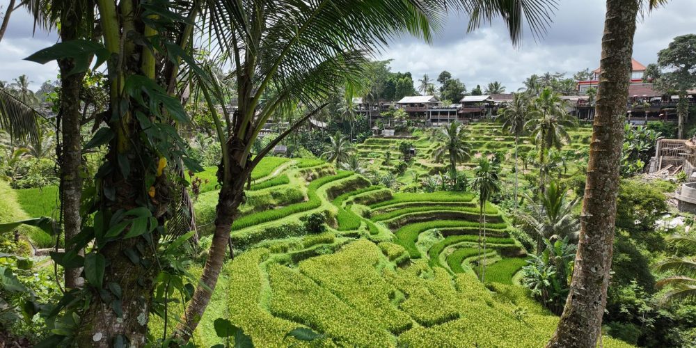 824c6f65 60d2 48c5 a824 bdb983e22d66