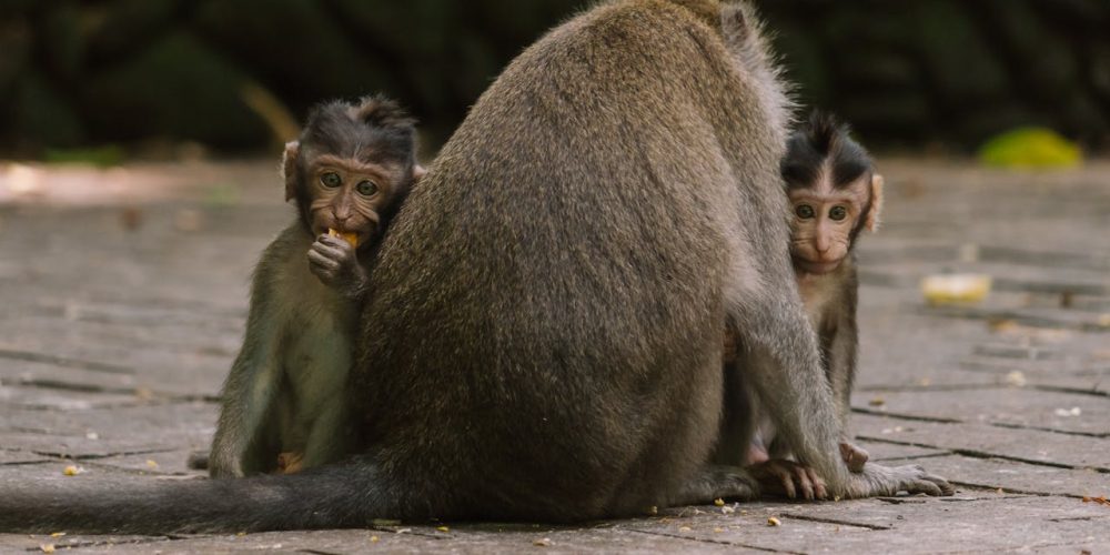 pexels photo 7709864.jpeg